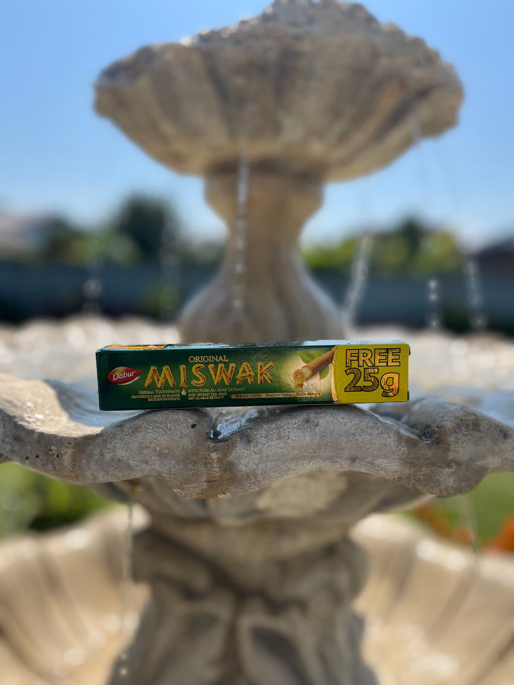 Miswak Pasta (Dabur)